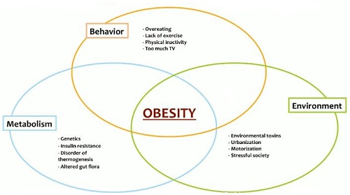 women's obesity