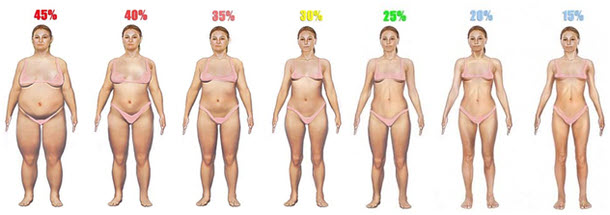 body-fat-percentage