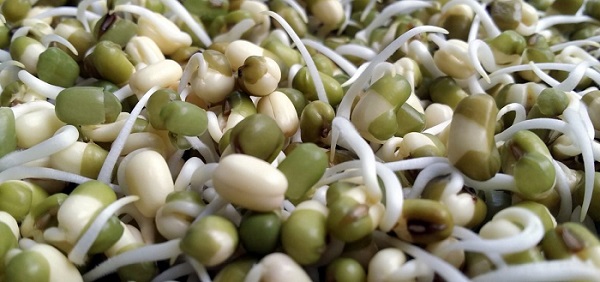 best sprouts to eat raw