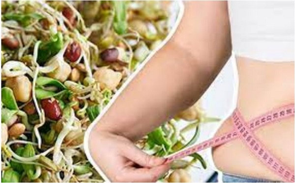 sprouts benefits for weight loss