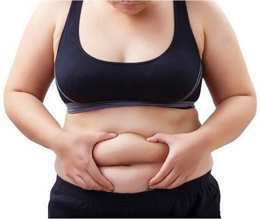 What Are Hidden Dangers of Visceral Body Fat